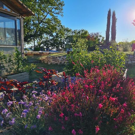La Fontaine Des Noyers Villa Сен-Сатюрнен-д'Апт Екстериор снимка